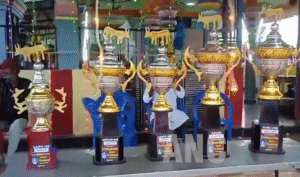 புதுக்கோட்டை மாவட்டம் அறந்தாங்கி அருகே தட்டான்வயல் கிராமத்தில் மாசிமகத்தை முன்னிட்டு மாபெரும் மாட்டு வண்டி எல்கை பந்தயம் நடைபெற்றது.